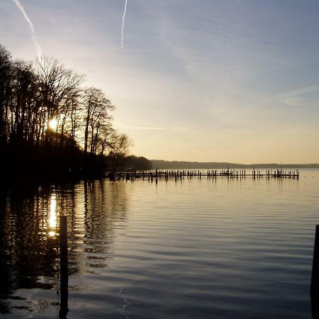 Ferienwohnungen Am Werbellinsee Schorfheide Esterno foto